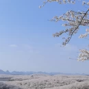 安顺旅游 缩略图 1
