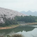 安顺旅游 缩略图 3