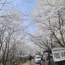 安顺旅游 缩略图 5
