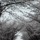 安顺旅游 缩略图 5