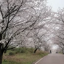 贵阳旅游 缩略图 7
