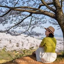 安顺旅游 缩略图 5