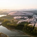 安顺旅游 缩略图 4