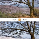 安顺旅游 缩略图 7