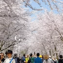 安顺旅游 缩略图 13