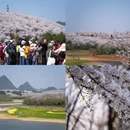 安顺旅游 缩略图 10