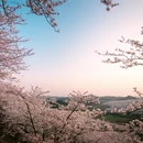 贵阳旅游 缩略图 6