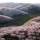 贵阳旅游 缩略图 1