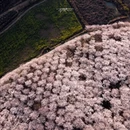 贵阳旅游 缩略图 2