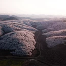 贵阳旅游 缩略图 5