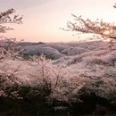 贵阳旅游 缩略图 8
