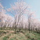 安顺旅游 缩略图 3