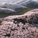 贵阳旅游 缩略图 4