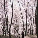安顺旅游 缩略图 8