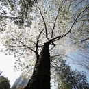 安顺旅游 缩略图 9