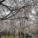 安顺旅游 缩略图 1