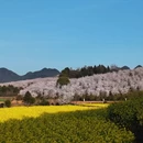 贵阳旅游 缩略图 2