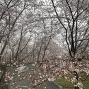 安顺旅游 缩略图 3
