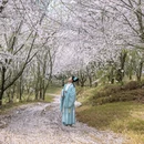 贵阳旅游 缩略图 4