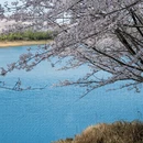 贵阳旅游 缩略图 11