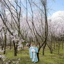 贵阳旅游 缩略图 13