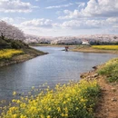 贵阳旅游 缩略图 4