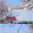 贵阳旅游 缩略图 2