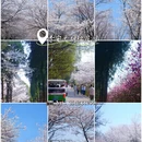 贵阳旅游 缩略图 7