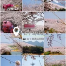 贵阳旅游 缩略图 9