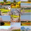 贵阳旅游 缩略图 10