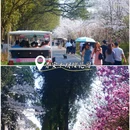 贵阳旅游 缩略图 5