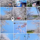 贵阳旅游 缩略图 6