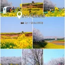 贵阳旅游 缩略图 8