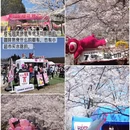贵阳旅游 缩略图 16