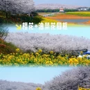 贵阳旅游 缩略图 13