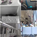 贵阳旅游 缩略图 15