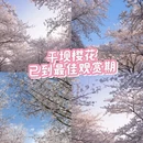 安顺旅游 缩略图 1