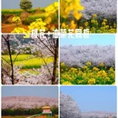 贵阳旅游 缩略图 14
