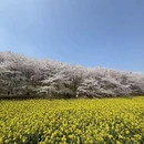 安顺旅游 缩略图 5
