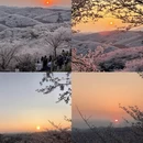 安顺旅游 缩略图 2