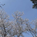 贵阳旅游 缩略图 2