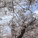 贵阳旅游 缩略图 1