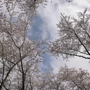 贵阳旅游 缩略图 3