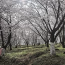 贵阳旅游 缩略图 6