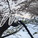 贵阳旅游 缩略图 6