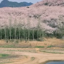 贵阳旅游 缩略图 13