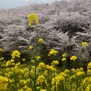 贵阳旅游 缩略图 2