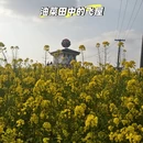 贵阳旅游 缩略图 6