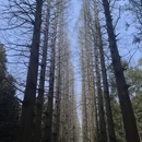 安顺旅游 缩略图 9