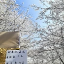 安顺旅游 缩略图 4